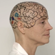 Illustration for article titled An MIT Professor Shaved Her Head To Teach You Neuroanatomy